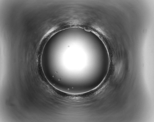 X0000085761309200703161109