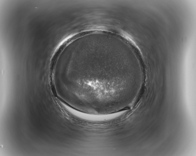 X0000085761312200703161109