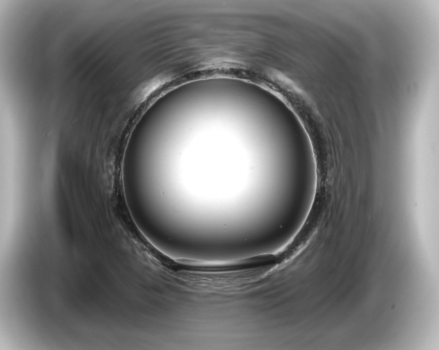 X0000085761313200703161109