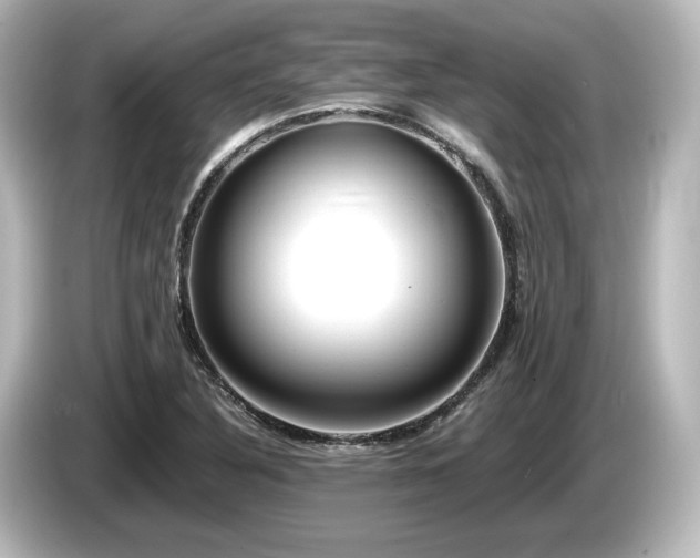 X0000085761316200703161109