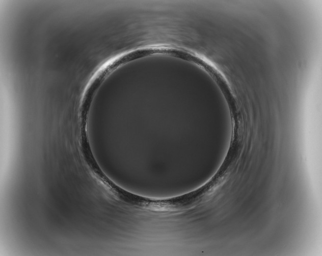 X0000085761319200703161109