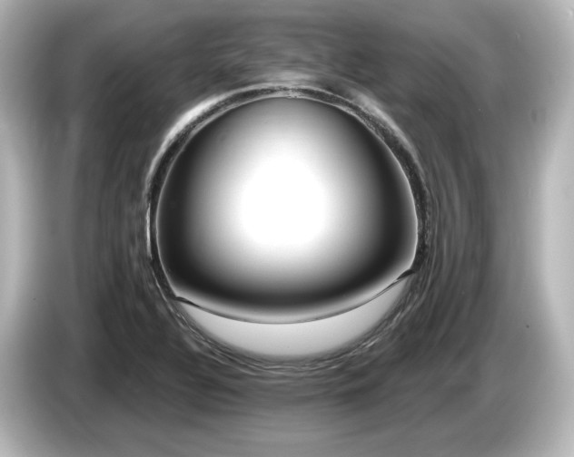 X0000085761320200703161109