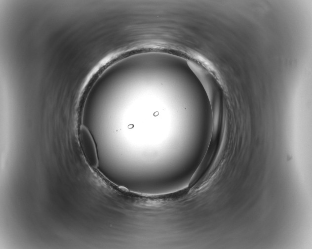 X0000085761326200703161109