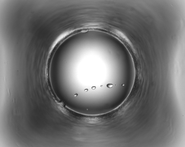 X0000085761328200703161109