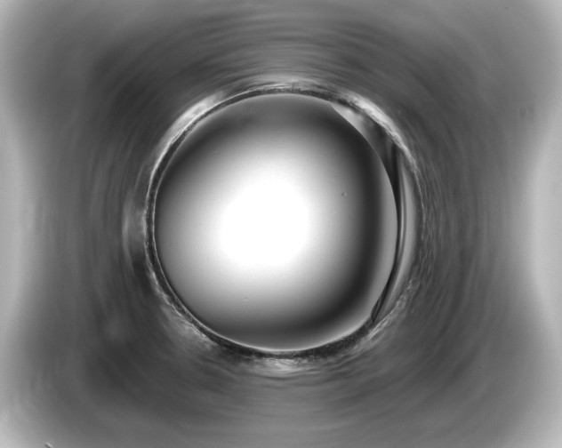 X0000085761330200703161109