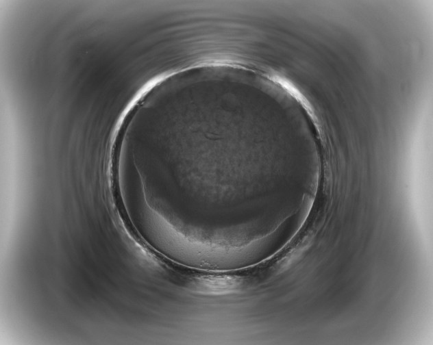 X0000085761331200703161109