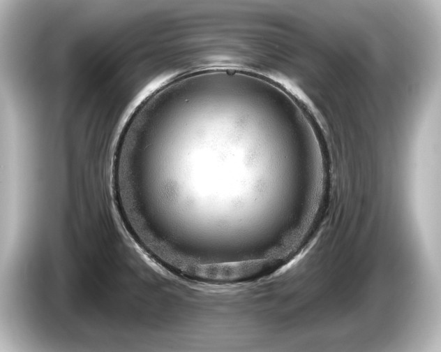 X0000085761333200703161109