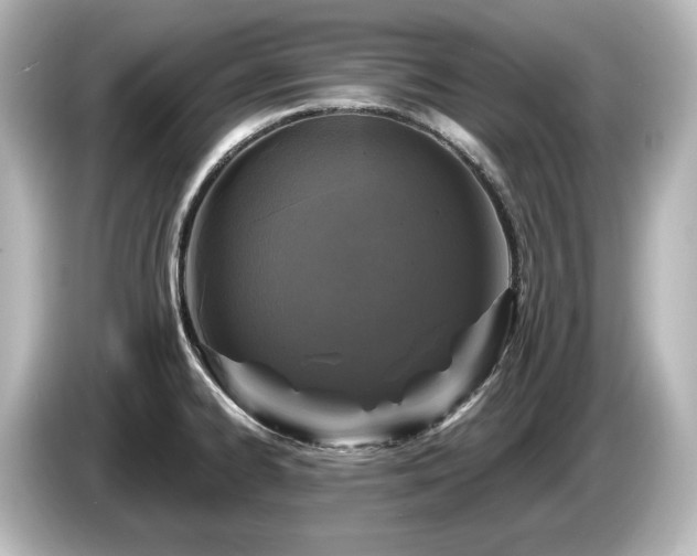 X0000085761334200703161109