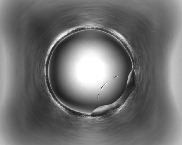 X0000085761335200703161109