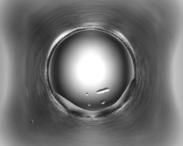 X0000085761336200703161109