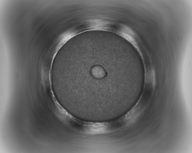 X0000085761338200703161109