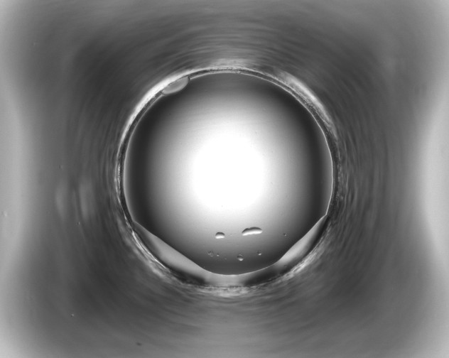 X0000085761340200703161109