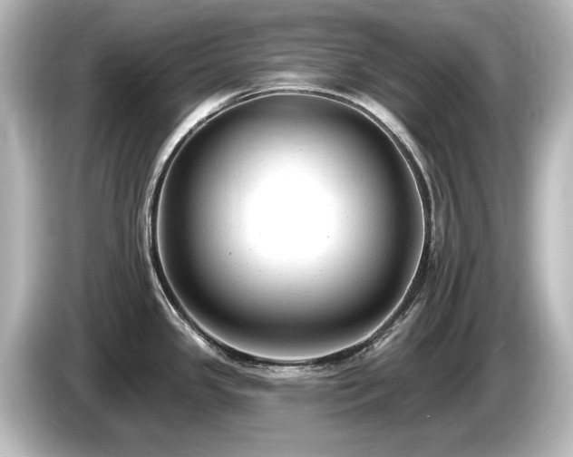 X0000085761341200703161109