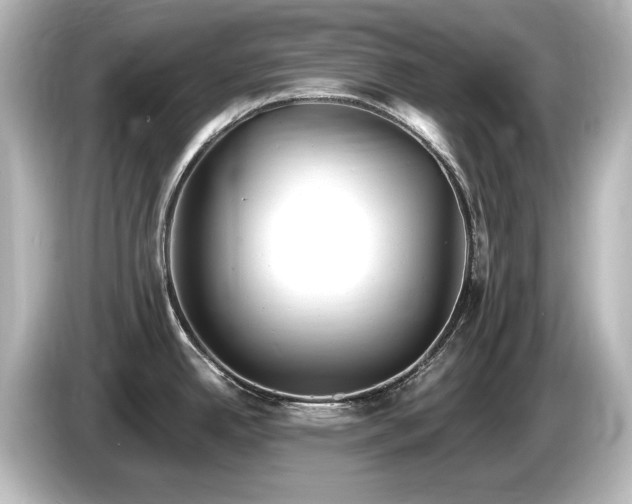 X0000085761342200703161109