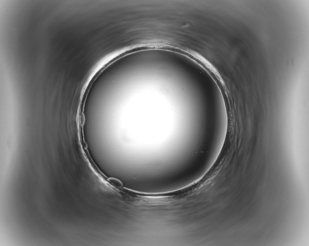 X0000085761343200703161109