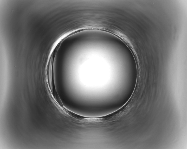 X0000085761344200703161109