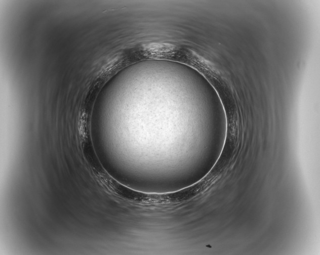 X0000085761346200703161108