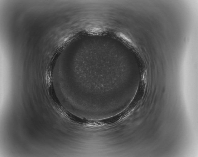 X0000085761348200703161108