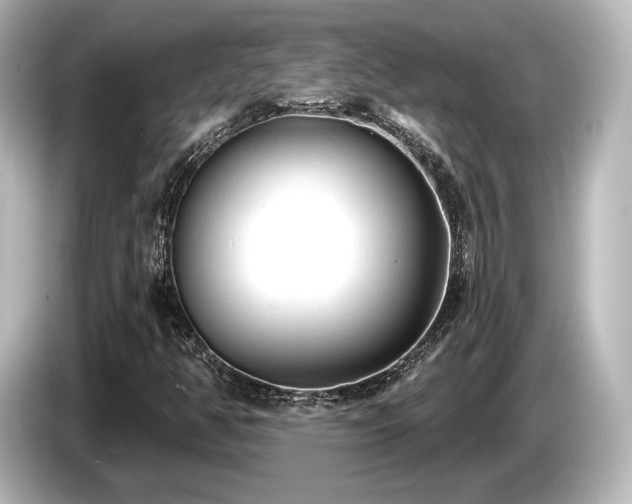 X0000085761350200703161108