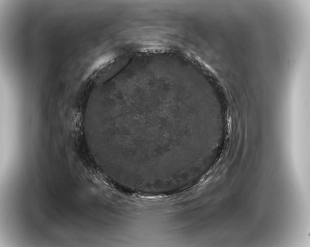 X0000085761351200703161108