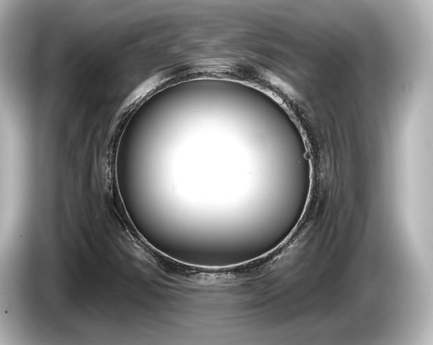 X0000085761354200703161108