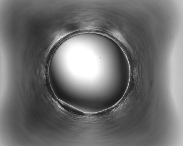 X0000085761356200703161108