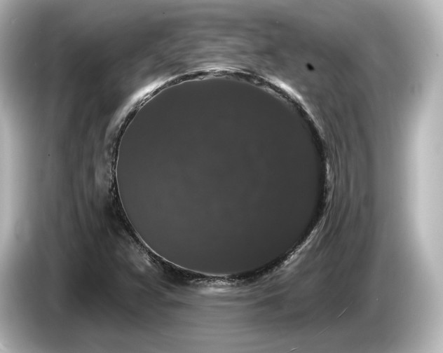 X0000085761359200703161108