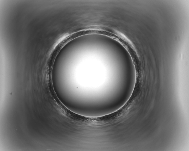 X0000085761360200703161108