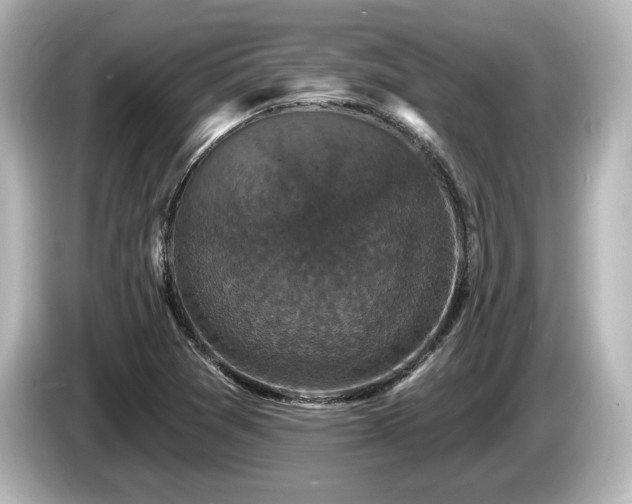 X0000085761361200703161108