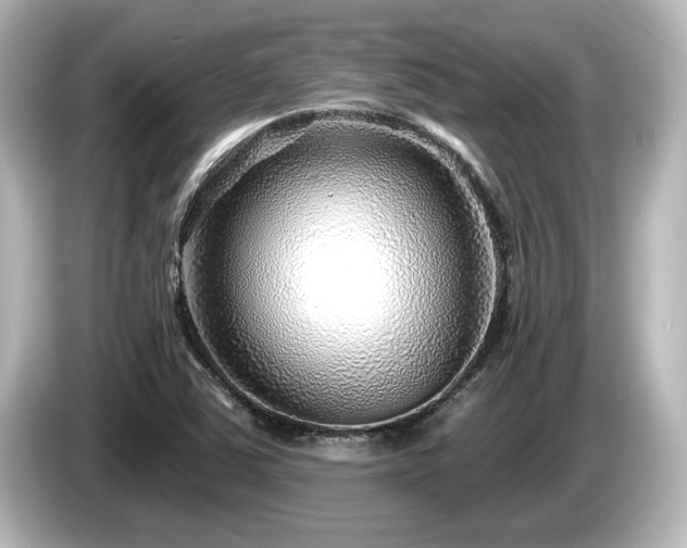 X0000085761363200703161108