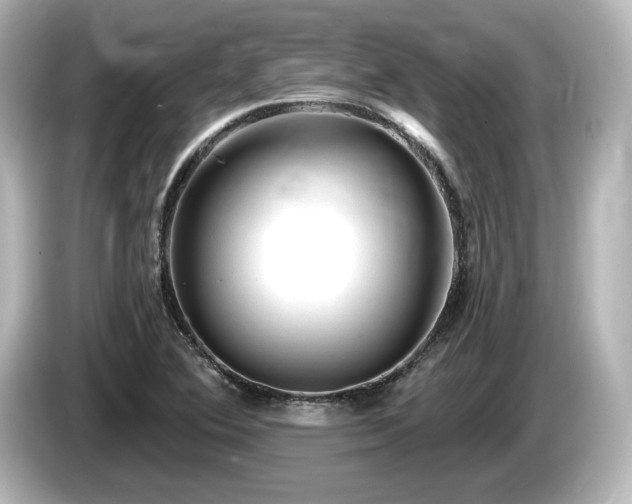 X0000085761364200703161108