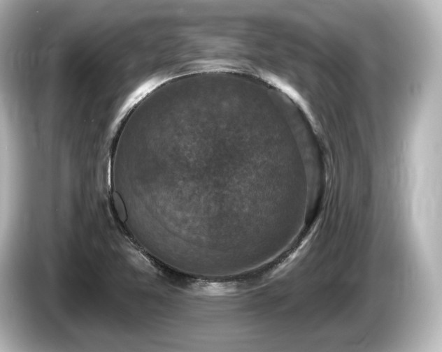 X0000085761365200703161108