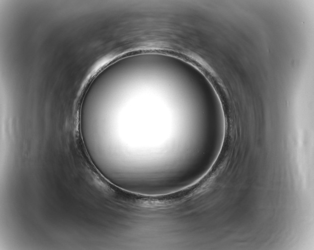 X0000085761366200703161108
