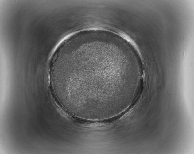 X0000085761368200703161108