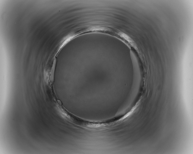 X0000085761369200703161108