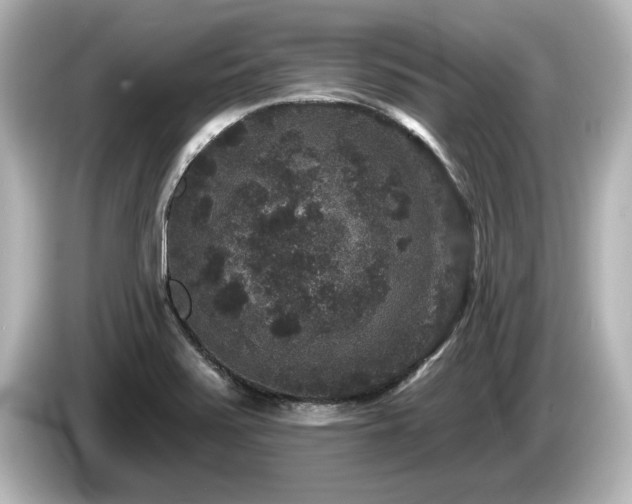 X0000085761371200703161108