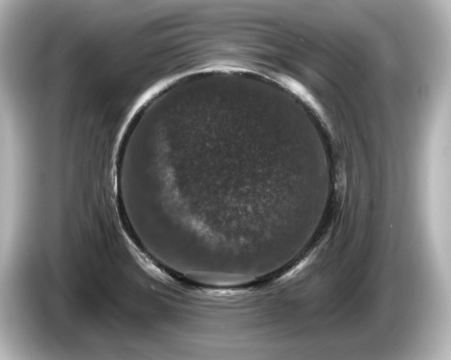 X0000085761372200703161108