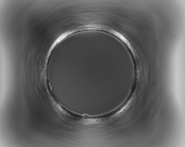 X0000085761373200703161108