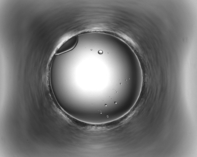 X0000085761374200703161108