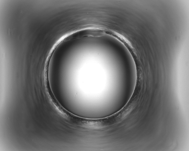 X0000085761375200703161108