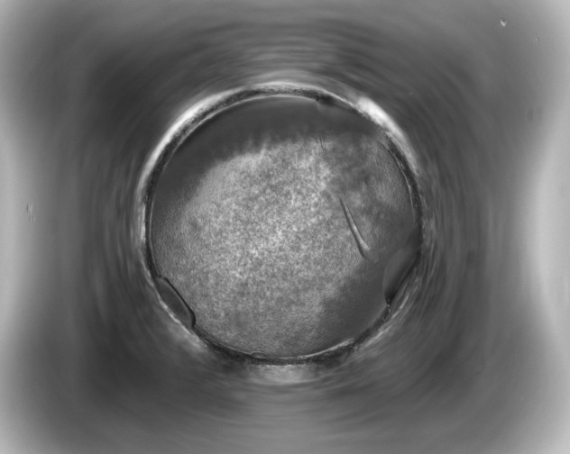 X0000085761376200703161108