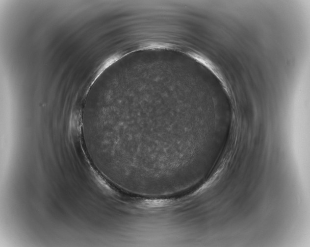 X0000085761377200703161108