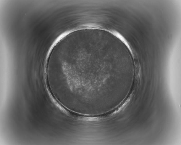 X0000085761381200703161108