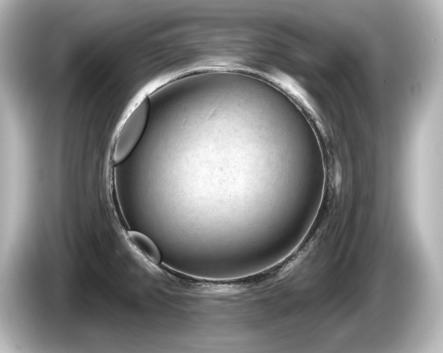 X0000085761382200703161108