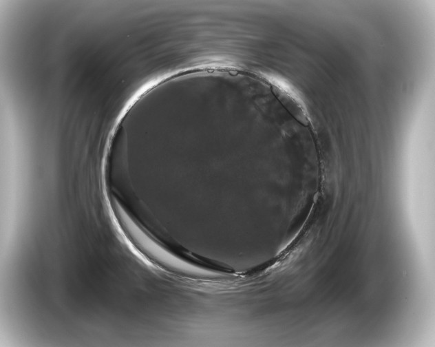 X0000085761383200703161108