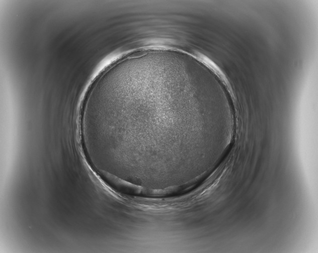 X0000085761384200703161108