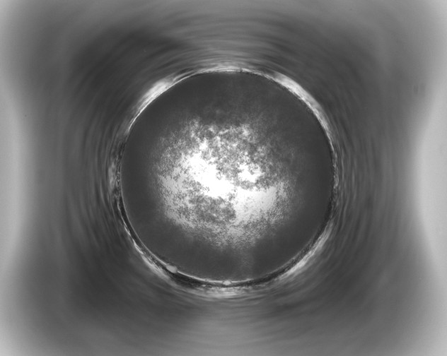 X0000085761385200703161108