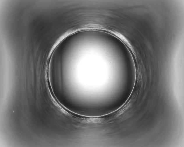 X0000085761390200703161108