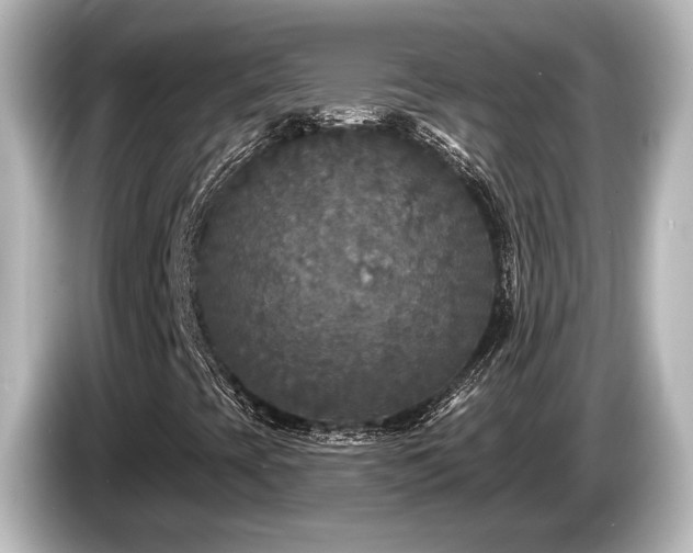 X0000085761393200703161107