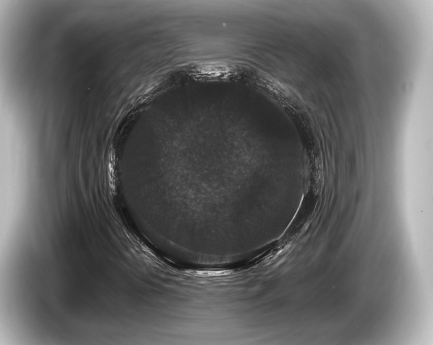 X0000085761394200703161107